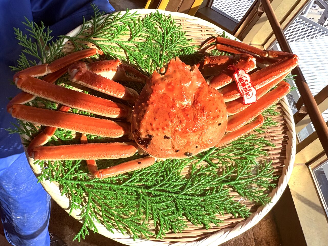 【大阪市浪速区】“爪天閣”にカニ到来！ 11/20、鳥取県知事が特大松葉ガニを通天閣のビリケンさんへ奉納、企業版ふるさと納税の感謝状も手渡し