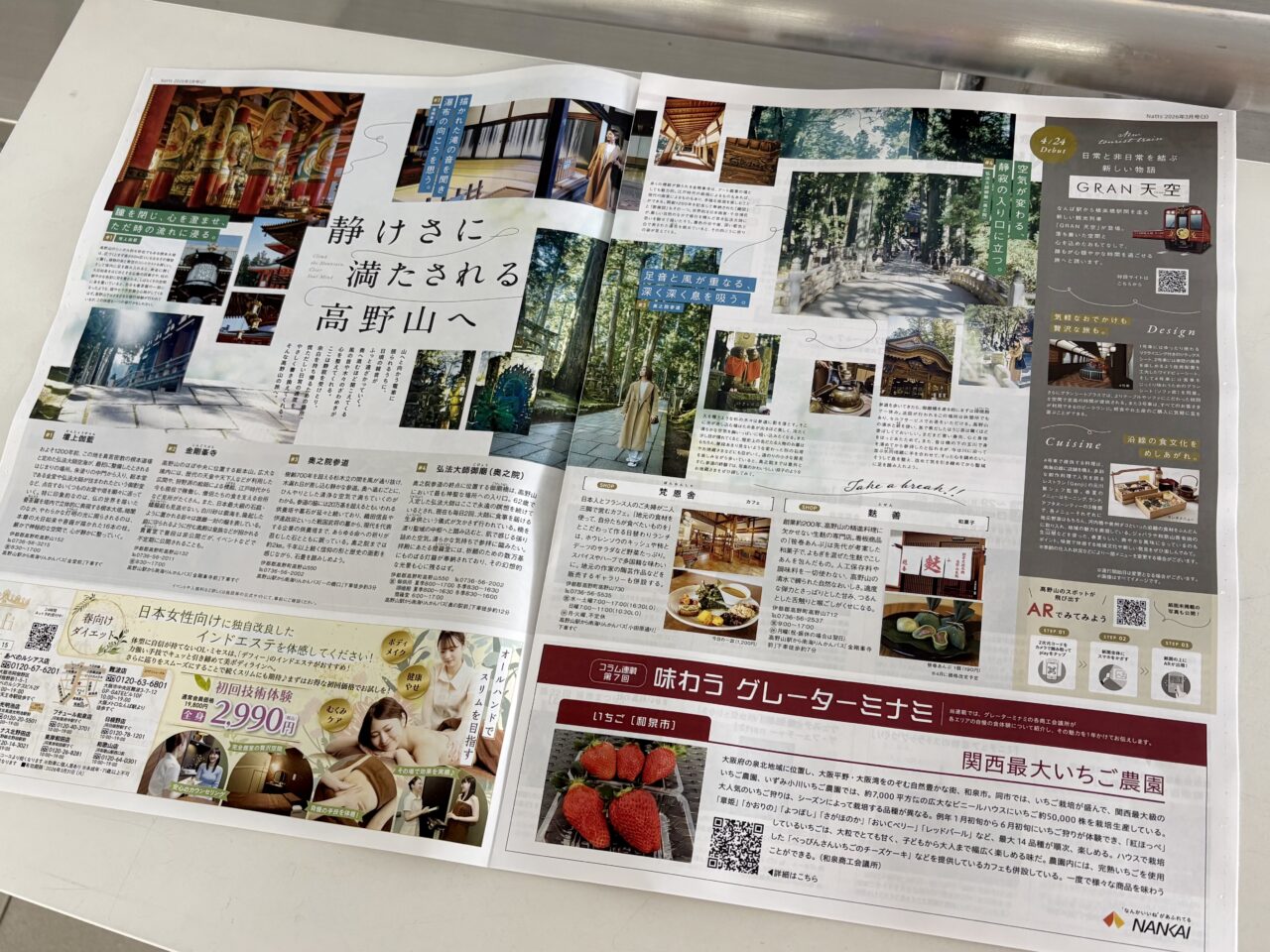 約25年来、南海沿線で親しまれてきた月刊の無料情報誌に一区切り。 月刊「Natts」が2026年3月号で休刊、WEBやSNS中心の新展開に