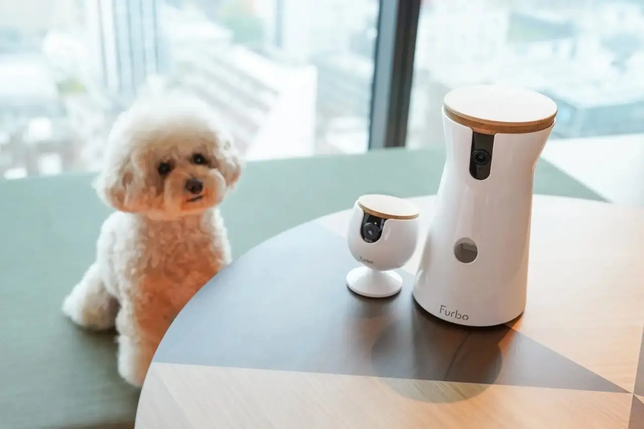  愛犬旅＆推し活・ライブ遠征にも対応！ OMO7大阪で新たな宿泊プランの販売が始まっています