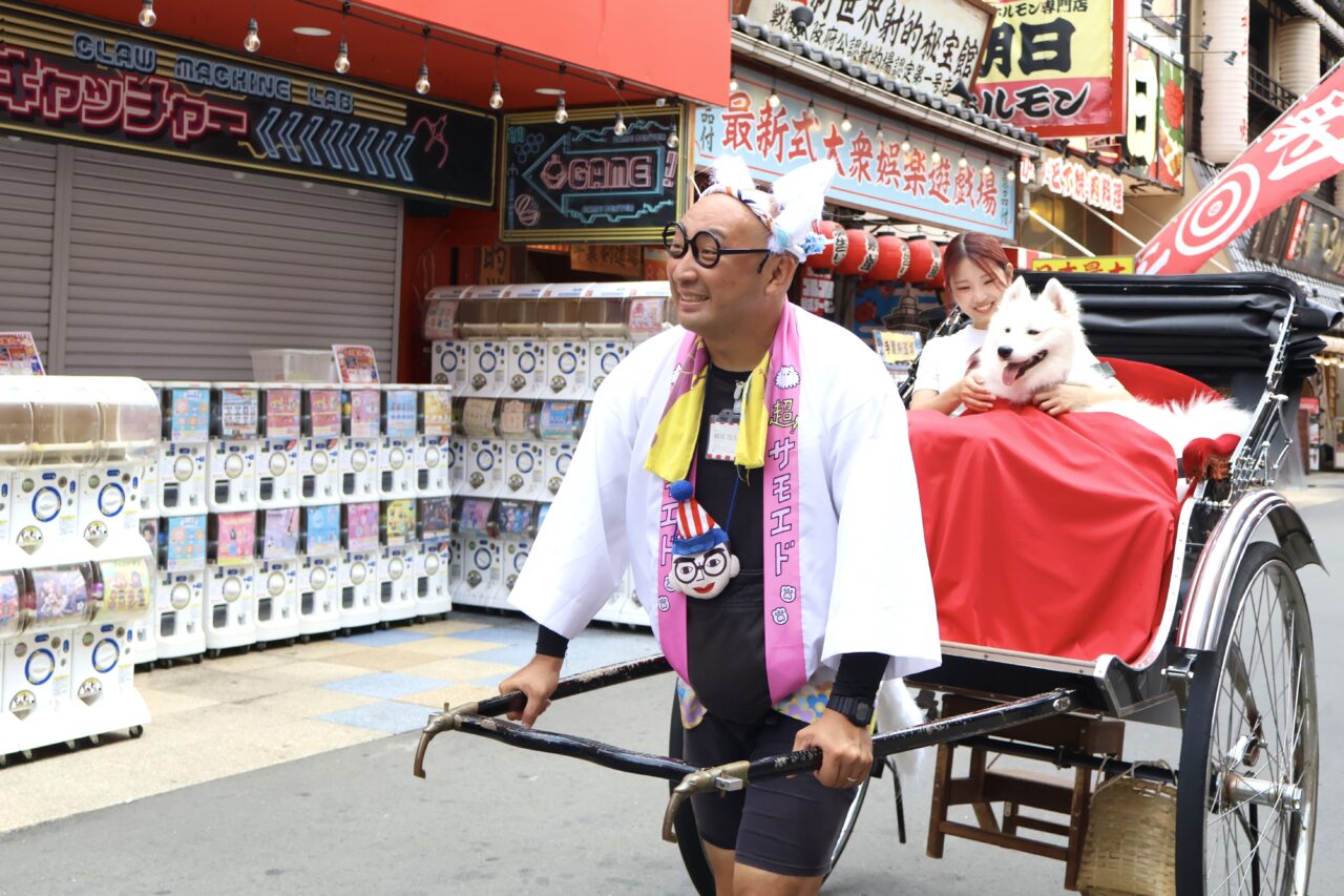 サモエド犬と一緒に人力車で新世界を観光！ もふもふの蘭ちゃんと巡る特別な街めぐりが楽しめます
