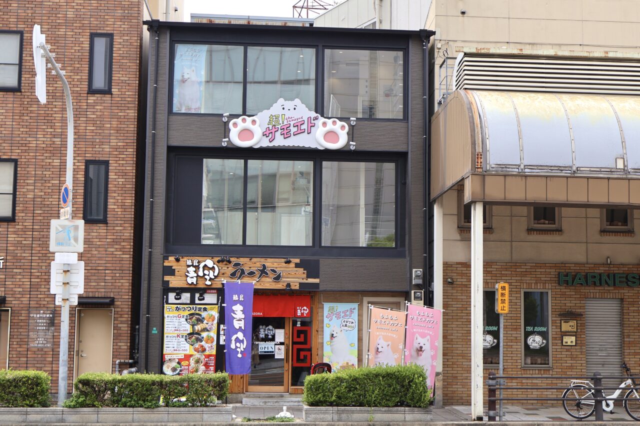 サモエド犬と一緒に人力車で新世界を観光！ もふもふの蘭ちゃんと巡る特別な街めぐりが楽しめます