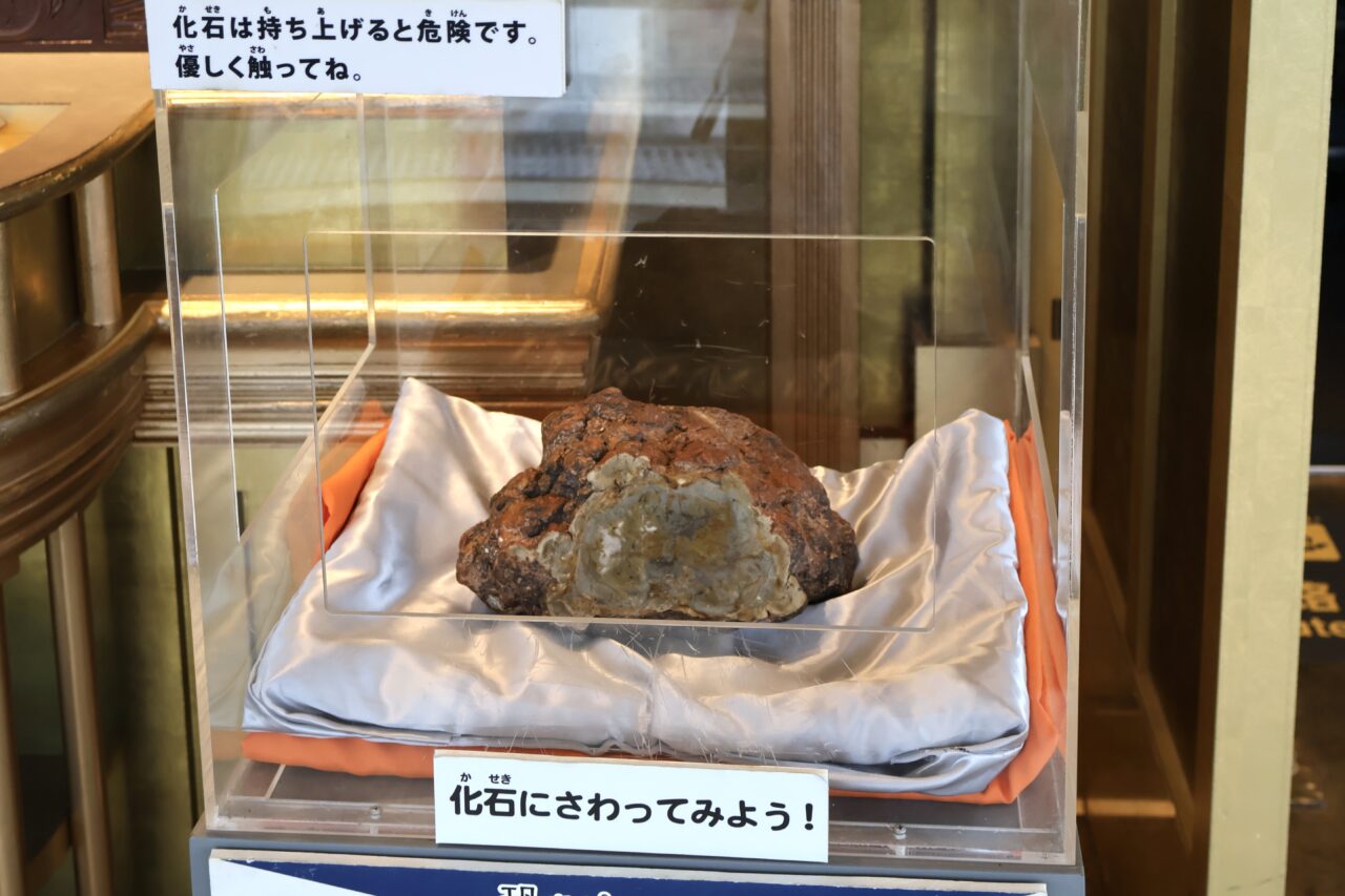 ビリケンさんの足の裏を撫でて、化石に触って幸運パワーを充満! 9/23まで通天閣に「さわれる恐竜のうんこ化石」が出現中です